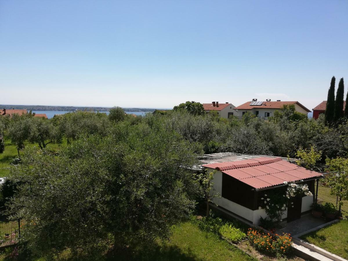 Apartma Iva Piran Kültér fotó